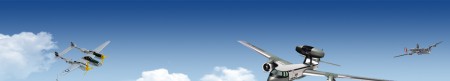 Pro Simulator flight
