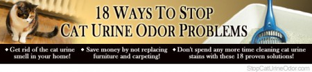 Cat Urine Odor Problems